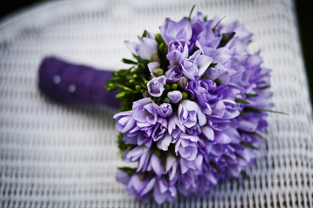 fialové květy.jpg